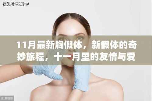 十一月最新胸假体,奇妙旅程中的友情与爱