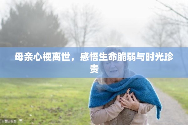 母亲心梗离世,感悟生命脆弱与时光珍贵